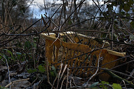Bernhard Saalfeld - DSC05308 -1